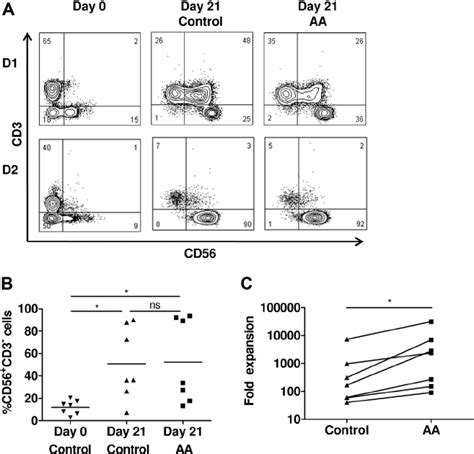 AA Enhances Proliferation Of Mature NK Cells NK Cells Were Expanded In
