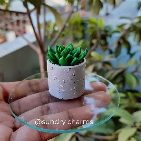 Jothi On Instagram Succulent In Terrazzo Pot Miniature Made From