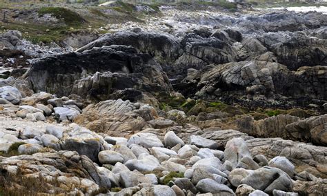 rocky shore  stock photo public domain pictures