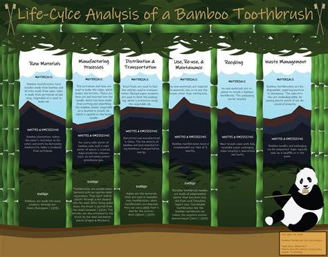 Bamboo Toothbrush — Design Life-Cycle