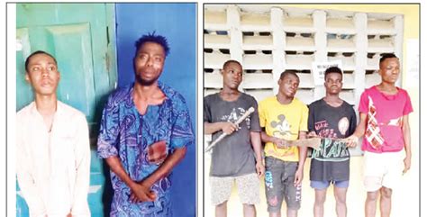 Six cultists nabbed during initiation in Lagos - Punch Newspapers