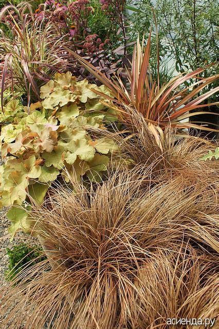 Травы, травы, травы... Мечты о прекрасном. ч.2.: Дневник пользователя ...