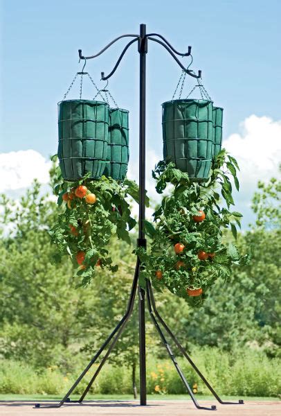 Topsy Turvy Tomato Stand