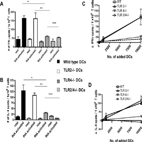 Priming Of An Alloimmune Response Induced By FHA Activated DCs Is