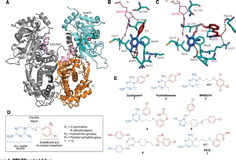 Figure From Driving Antimalarial Design Through Understanding Of