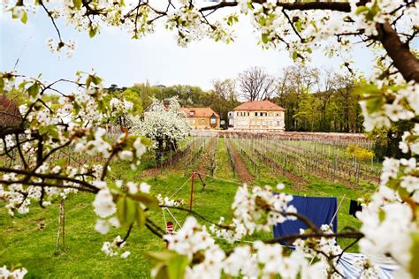 Weingut In Radebeul Haus Steinbach