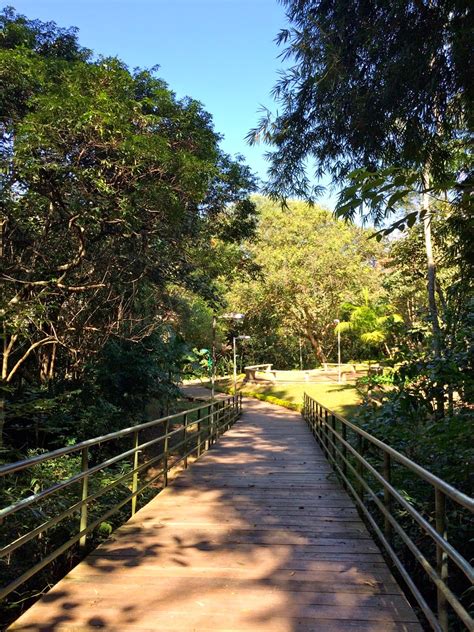 Parque Jardim Herculano - Parque Jardim Herculano em São Paulo ~ Áreas Verdes das Cidades - Guia ...