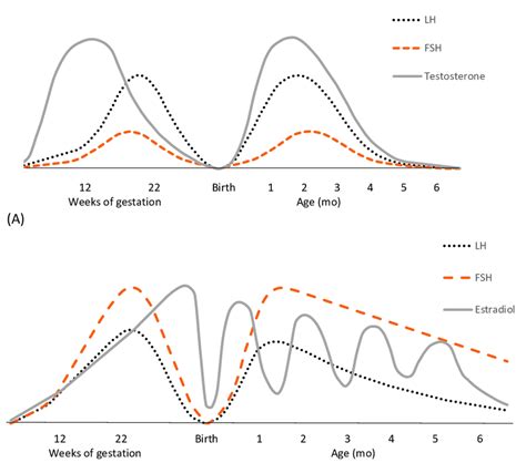 A Male Fetuses And Infants Serum Lh Fsh And Testosterone Download Scientific Diagram