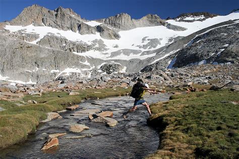 Tiny Alpine Dweller: Exploring The Enigmatic Mount Lyell Shrew