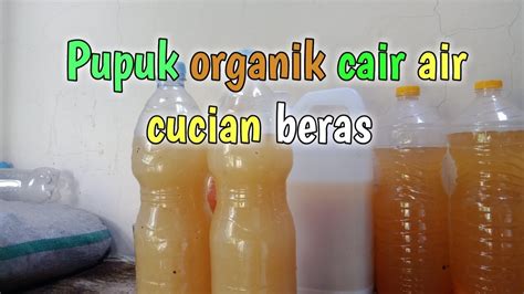 Pupuk Organik Cair Air Cucian Beras Dengan Dekomposer Mengunakan POC