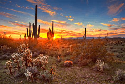 20 Best Things To Do In St George Utah Better Wander