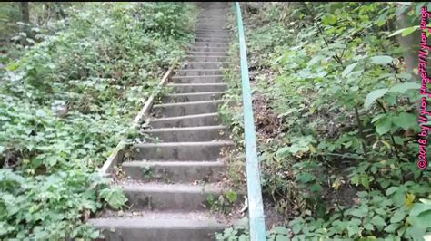 Fsh Walk On The Waldberg Near Lengede Gay Amateur Porn Feat NylonjungeCarmen By Carmen