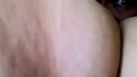 Lambendo A Buceta Gorda Free Amateur Homemade Wife HD Porn XHamster