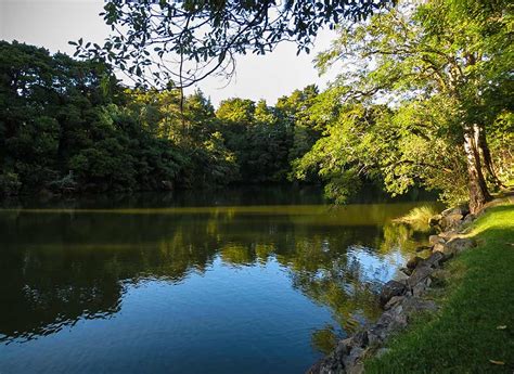 day  matakana part  mahurangi river winery  warkworth north