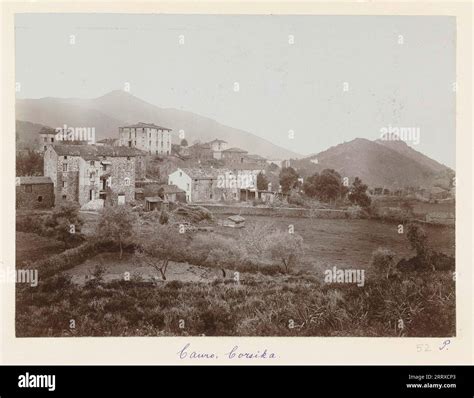 Cauro Hi Res Stock Photography And Images Alamy