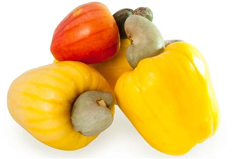 Cashew: 6 benefits and how to make a healthy candy - ThedietMD