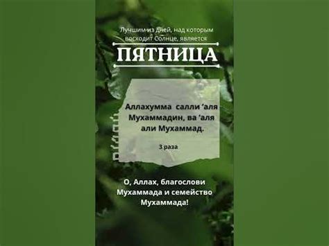 Салават🤲🏻 #quran #surah #сура #салават #salavat #zikir #зикр # ...