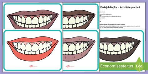 Periajul dinților Activitate practică teacher made
