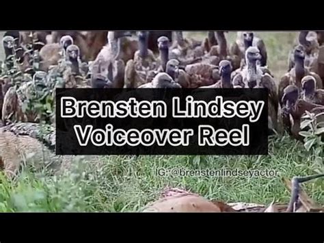 Brensten Lindsey Amateur Voiceover Reel Youtube