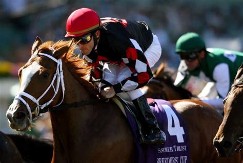 tj dominguez net worth