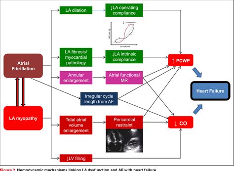 Figure From Management Of Atrial Fibrillation Across The Spectrum Of