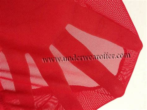 Sexy Mens Sheer Mini Briefs Bulge Pouch Underwear See Through Mesh Bikini Briefs Size S M L 8