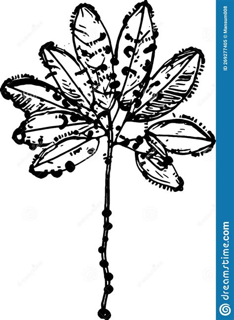 Black and White , Illustration of a Plant Stock Illustration ...