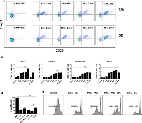 Mscs Can Convert Conventional T Cells Into Foxp3 Expressing Tregs With