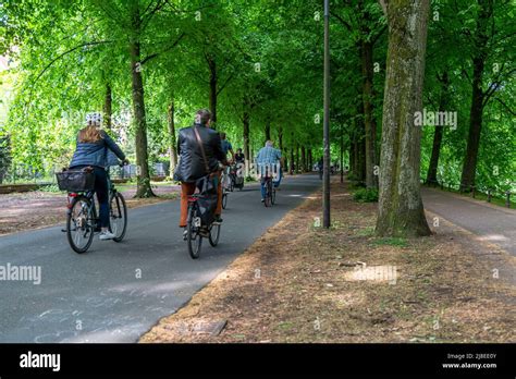 Promenade Cycle Path Tree Lined Car Free Approx 45 Km Long