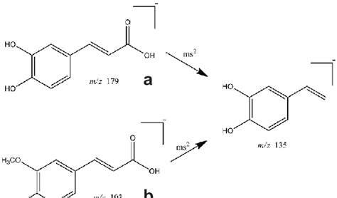 A B Proposed Fragmentation Pathways For Acids A Caffeic B Ferulic