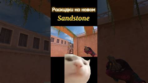 #standoff2 #стандофф2 #веля #стендофф #рик #кейсы #раздача #бусты # ...