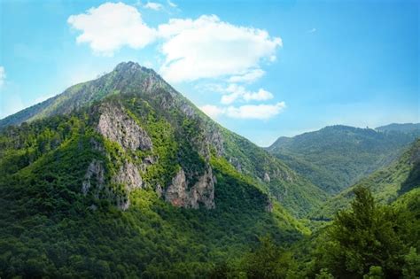 premium photo beautiful landscape  sunny day