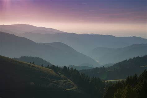 Green Trees Near Mountain · Free Stock Photo