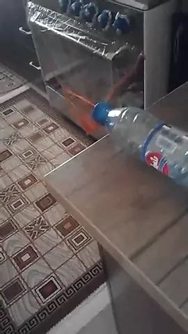 Flpdpt Youjiiz Tube Xxx Tube Mobile Porn Video C Xhamster