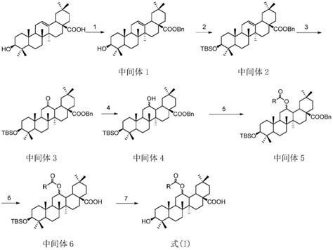 12 O 苯甲酸酯齐墩果酸类化合物及其制备与用途