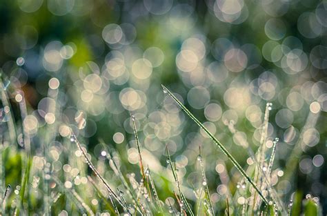 Bokeh Photography- 30 Outstanding Examples - DesignGrapher.Com