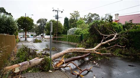 Severe Weather And Rainfall Hit Nsw Victoria And Sa Sbs English