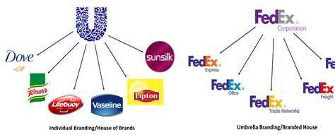 umbrella branding leveraged growth