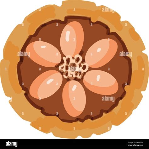 Top View Cacao Fruit Icon Cartoon Vector Cocoa Bean Stock Vector Image