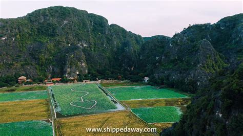 Mua Caves Viewpoints (Hang Mua), Ninh Binh: Complete Guide