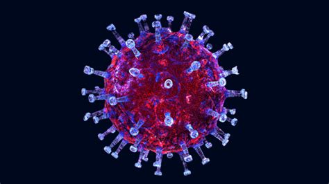 Deltacron Qué se sabe sobre la nueva variante híbrida del coronavirus