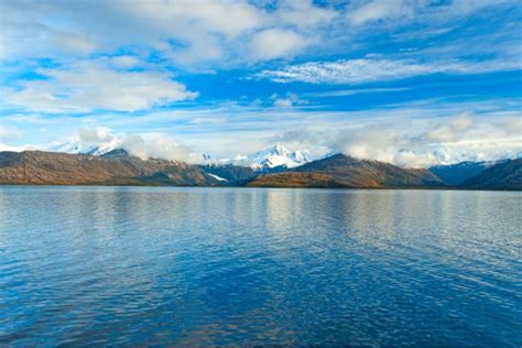 América Latina en la encrucijada La lucha de potencias por tierras estratégicas y su impacto