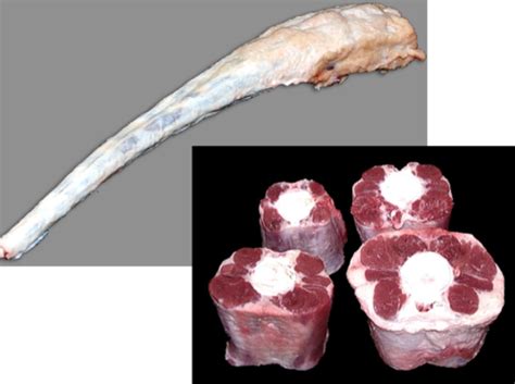 AS Beef Cattle Flashcards | Quizlet