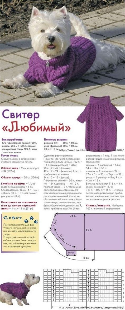 Свитер для собаки спицами, схемы и описание: 18 вариантов | Свитер для ...