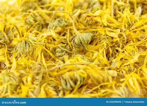 Dried Calendula Flowers Medicinal Herbs Herbal Tea Stock Photo