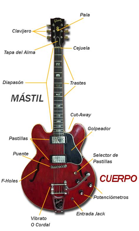 Partes De La Guitarra Guitarmonia Es