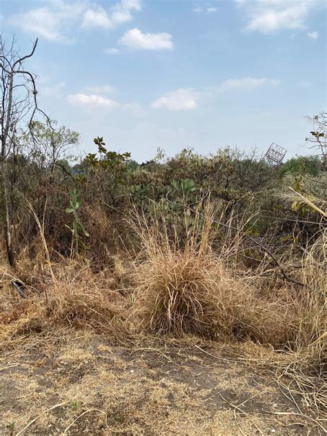 Cosmos, naturaleza y arte, Espacio Escultórico de la UNAM - - Centro Urbano