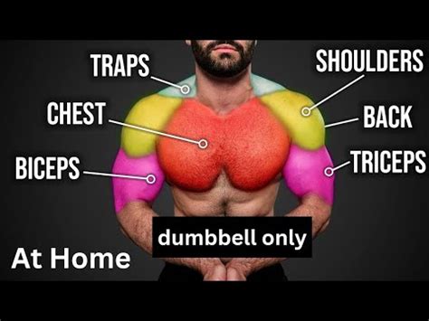 Best Dumbbell Exercises For Building Muscle At Home Youtube