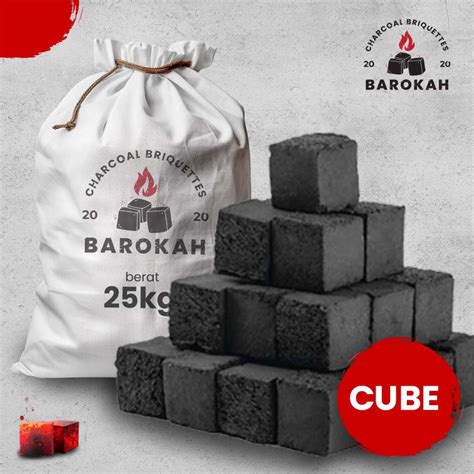 Jual Arang Briket Kubus Batok Kelapa Premium Kemasan Karung Shopee