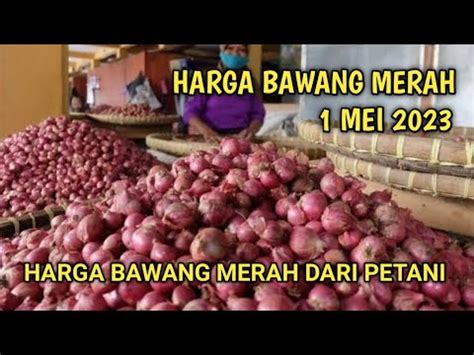 Harga Bawang Merah Hari Ini Mei Youtube